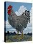 Rooster and Clouds-Barry Wilson-Stretched Canvas