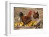 Rooster and Hen Perched on Antique Wooden Wheelbarrow Loaded with Gourds in Late Autumn-Lynn M^ Stone-Framed Photographic Print