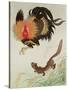 Rooster and Weasel-Koson Ohara-Stretched Canvas