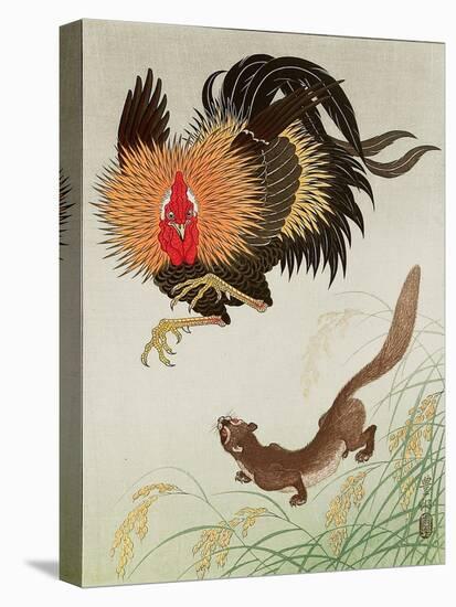 Rooster and Weasel-Koson Ohara-Stretched Canvas