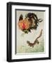 Rooster and Weasel-Koson Ohara-Framed Giclee Print