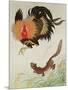 Rooster and Weasel-Koson Ohara-Mounted Giclee Print