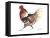 Rooster B-Marietta Cohen Art and Design-Framed Stretched Canvas