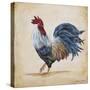 Rooster-B-Jean Plout-Stretched Canvas