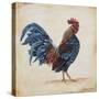 Rooster-C-Jean Plout-Stretched Canvas