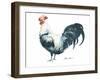 Rooster C-Marietta Cohen Art and Design-Framed Giclee Print