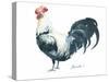 Rooster C-Marietta Cohen Art and Design-Stretched Canvas