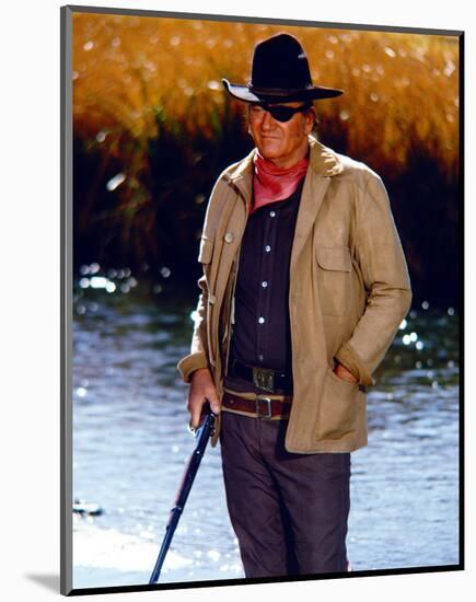 Rooster Cogburn-null-Mounted Photo