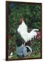 Rooster Crowing-Lynn M^ Stone-Framed Photographic Print