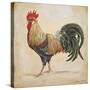 Rooster-D-Jean Plout-Stretched Canvas