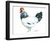 Rooster D-Marietta Cohen Art and Design-Framed Giclee Print