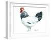 Rooster D-Marietta Cohen Art and Design-Framed Giclee Print