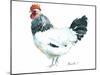 Rooster D-Marietta Cohen Art and Design-Mounted Giclee Print