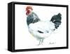 Rooster D-Marietta Cohen Art and Design-Framed Stretched Canvas