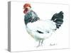 Rooster D-Marietta Cohen Art and Design-Stretched Canvas