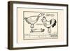 Rooster-Duck Worm Fight-Michael C. Dank-Framed Art Print