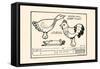 Rooster-Duck Worm Fight-Michael C. Dank-Framed Stretched Canvas