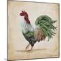 Rooster-G-Jean Plout-Mounted Giclee Print