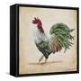 Rooster-G-Jean Plout-Framed Stretched Canvas