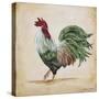 Rooster-G-Jean Plout-Stretched Canvas