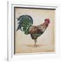 Rooster-H-Jean Plout-Framed Giclee Print