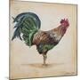 Rooster-H-Jean Plout-Mounted Giclee Print