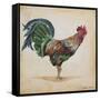 Rooster-H-Jean Plout-Framed Stretched Canvas