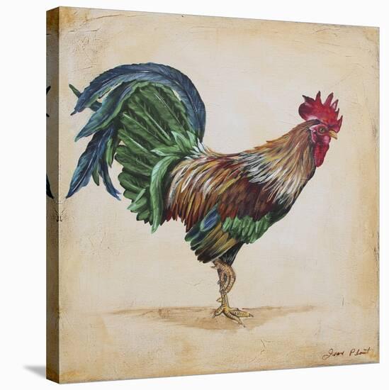 Rooster-H-Jean Plout-Stretched Canvas