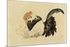 Rooster, Hen, and Chicks, Meiji Era, 1870-79-Shibata Zeshin-Mounted Giclee Print