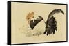 Rooster, Hen, and Chicks, Meiji Era, 1870-79-Shibata Zeshin-Framed Stretched Canvas