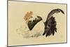 Rooster, Hen, and Chicks, Meiji Era, 1870-79-Shibata Zeshin-Mounted Giclee Print
