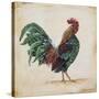 Rooster-I-Jean Plout-Stretched Canvas