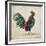 Rooster-I-Jean Plout-Framed Giclee Print