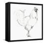 Rooster II-Avery Tillmon-Framed Stretched Canvas