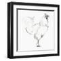 Rooster II-Avery Tillmon-Framed Art Print