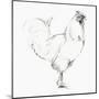 Rooster II-Avery Tillmon-Mounted Art Print