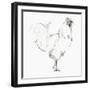 Rooster II-Avery Tillmon-Framed Art Print