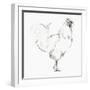 Rooster II-Avery Tillmon-Framed Art Print