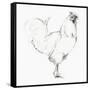 Rooster II-Avery Tillmon-Framed Stretched Canvas