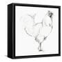 Rooster II-Avery Tillmon-Framed Stretched Canvas
