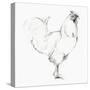 Rooster II-Avery Tillmon-Stretched Canvas