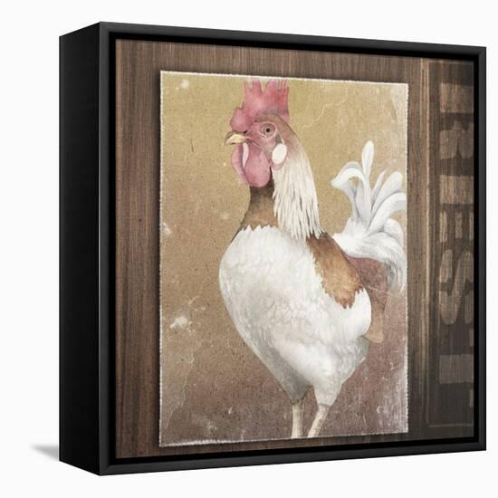 Rooster II-Kory Fluckiger-Framed Stretched Canvas