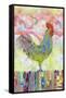 Rooster on a Fence I-Ingrid Blixt-Framed Stretched Canvas