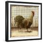 Rooster on Damask I-Dan Meneely-Framed Art Print