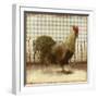 Rooster on Damask I-Dan Meneely-Framed Art Print