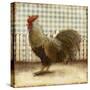 Rooster on Damask II-Dan Meneely-Stretched Canvas