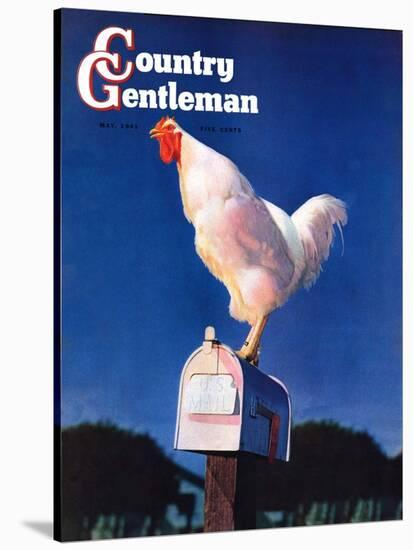 "Rooster on Mailbox," Country Gentleman Cover, May 1, 1941-null-Stretched Canvas