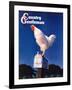 "Rooster on Mailbox," Country Gentleman Cover, May 1, 1941-null-Framed Giclee Print