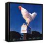 "Rooster on Mailbox,"May 1, 1941-null-Framed Stretched Canvas