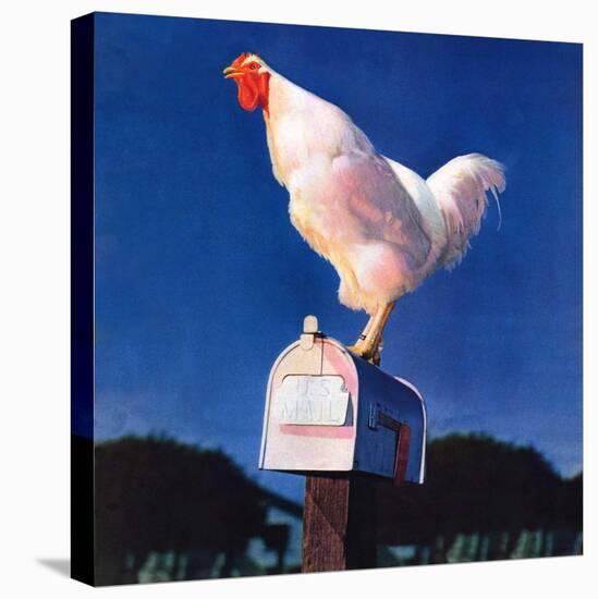 "Rooster on Mailbox,"May 1, 1941-null-Stretched Canvas